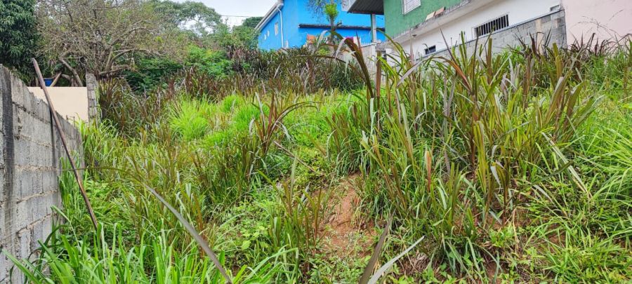 Terreno - Venda - Parque Fernão Dias - Santana de Parnaíba - SP
